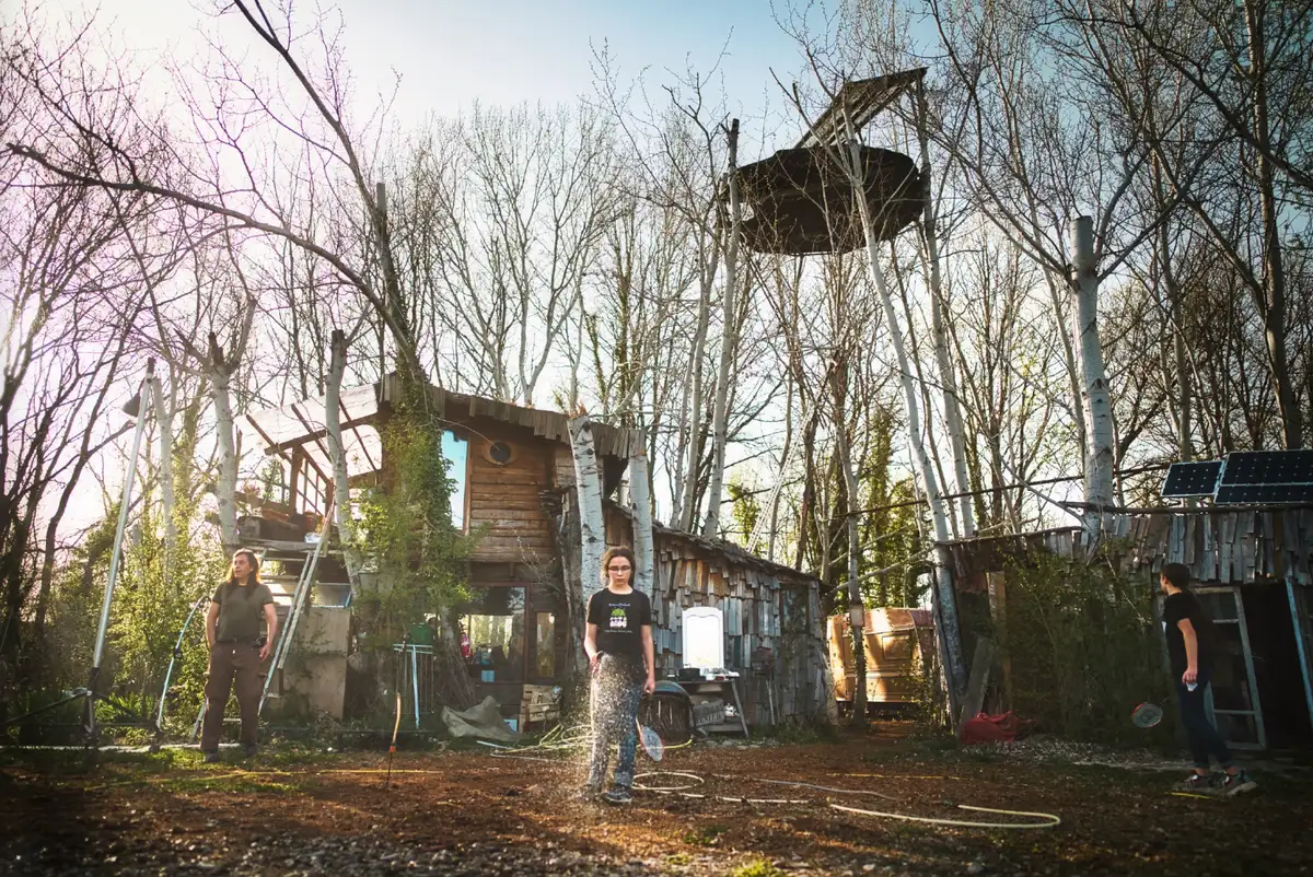 Un habitat bricolé entre les arbres, au printemps