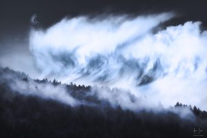 kevin simon photographie